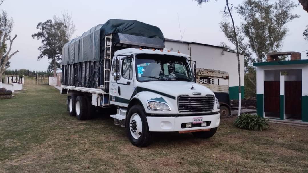 Camión de mudanzas blanco